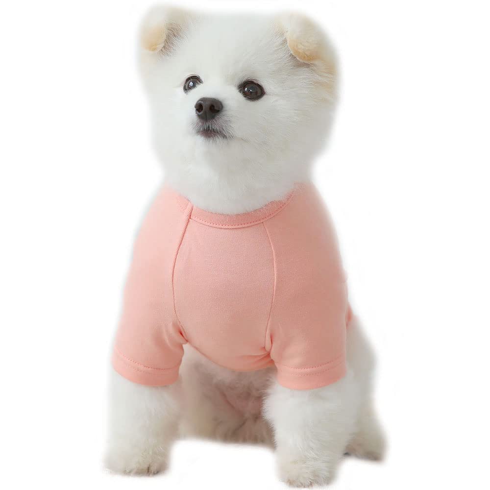 Lucky Petter Dog Shirt for Small Dogs Plain T-Shirts Soft Breathable Dog Cotton Shirt pet Clothes (Medium, Peach)
