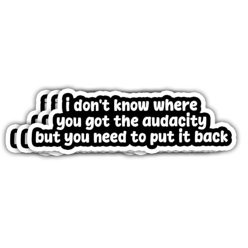 HASODIN (3 Pcs, 3 inch) I Don't Know Where You Got the Audacity but You Need to Put It Back Sticker, Funny Humor Sarcastic Saying Sticker Gifts Decoration for Laptops, Phones