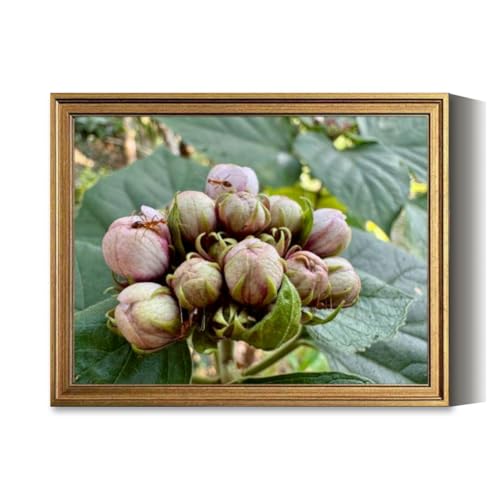 Vintage Framed Wall Art Mysore Mallige Chendu Sendu Malli Jasmine flower Canvas Paintings Wall Decor Pictures Posters Prints for Living Room Bathroom Bedroom Kitchen Artwork