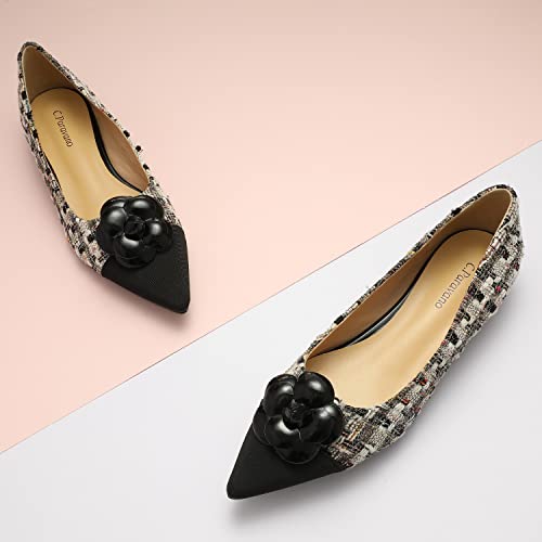 C.paravano Flat Shoes Women I Pointed Toe Shoes For Women I Women Pumps I Tweed Shoes Women I Pointed Toe Flats I Slip On Shoes Ballet Flats (Size 39,Black Flat) #TOP1