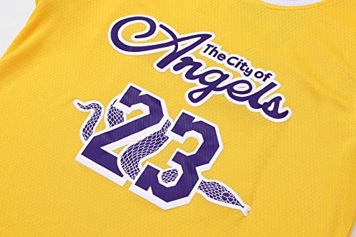 Chezmax Youth #23 Basketball Jersey Shirts,Fashion Basketball Shirt,Breathable For Kids Basketball Jersey Embroidery Shirts Yellow M #TOP1