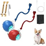 Tiny Fetch Dog Toy,Tinyfetch Interactive Dog and Cat Toys Ball,Smart 360° Rolling Rechargeable Dog Cats Ball,Chirping & Motion Activate Pettoys (Red+Blue)