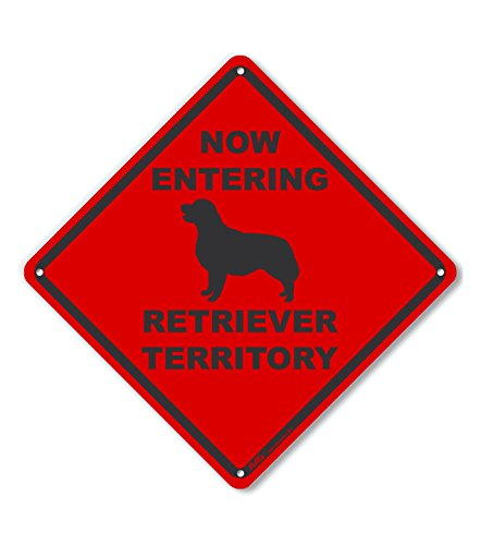 Panneau Retriever Territory décoratif en aluminium rouge carré de dimensions 25,4 x 25,4 cm