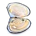 anso 25pcs Natural Freshwater Cultured Pearl Oyster with Real Pearls 7-8mm Pearl Individually Vacuum Pack