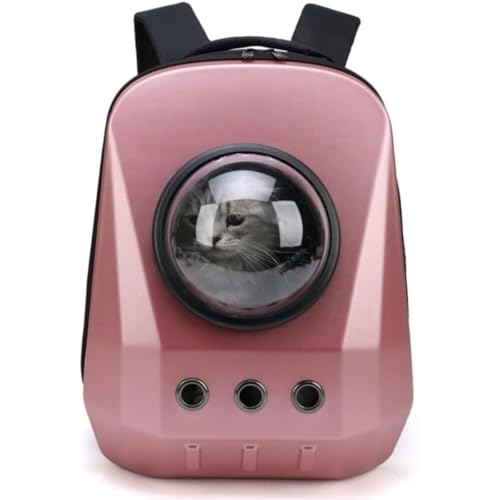 FiveLn ybgL[obO  ^ L bN ω׏d8Kg FD JvZ LX y ybg ^p LpobNpbN ybgbNTbN (sN)