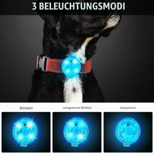 GAOUTO 4 Stück Hundelicht Leuchtanhänger, 4 Modi USB Aufladbar LED Blinklicht Hundelicht, wasserdichte Leuchtanhänger Hund, Sicherheitslicht LED Hundehalsband Lichter für nächtliche Hundespaziergänge