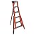 Werner FTP6206 Ladder, 6-Foot