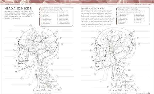 The Human Body Colouring Book: The Ultimate Anatomy Study Guide (DK Human Body Guides)