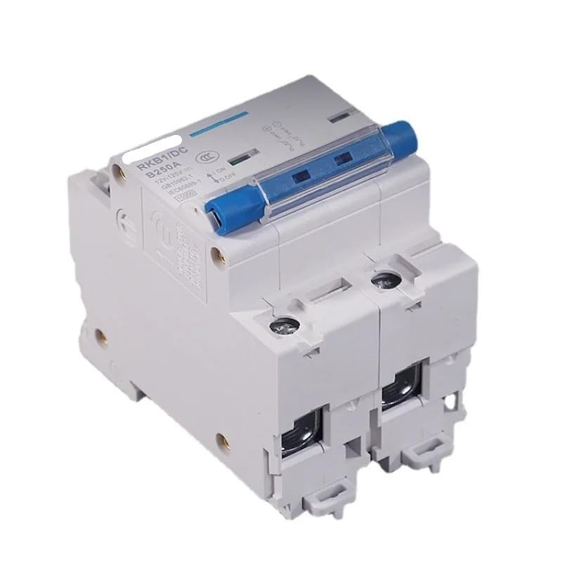 Sicherungsautomat 2P 63A 80A 100A 125A 150A 200A 250A DC-Leistungsschalter 12V 24V 48V 60V 72 96V Schutzschalter(250A)