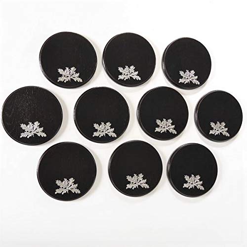 GTK - Geweihe & Trophäen KRUMHOLZ 10 Placas de cuña de 19 cm con 10 Portadas de Hojas de Roble de 6 Hojas