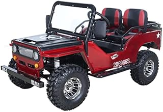 X-PRO 125cc Go Kart with 3-Speed Semi-Automatic Transmission w/Reverse, Big 18