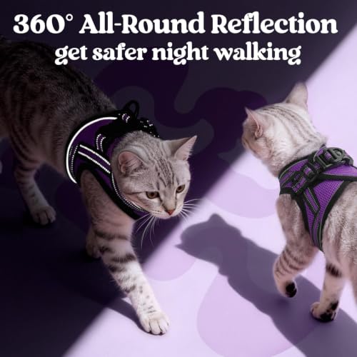 Image of rabbitgoo Cat Harness and Leash Set, Step-in Soft Vest, Purple | Escape Proof, Lightweight, Easy-on & Adjustable, Hook & Loop with Buckle, Reflective, for Kittens & Small Cats Walks, M