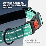 CollarDirect Reflektierendes Hundehalsband für kleinen, mittelgroßen, großen Hund, Welpen mit Schnellverschluss, Hündin, Rüde, 48 Sorten, Nylon Wasserfest