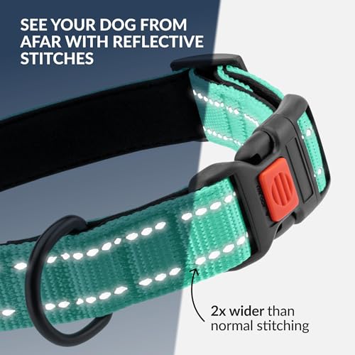 CollarDirect Reflektierendes Hundehalsband für kleinen, mittelgroßen, großen Hund, Welpen mit Schnellverschluss, Hündin, Rüde, 48 Sorten, Nylon Wasserfest
