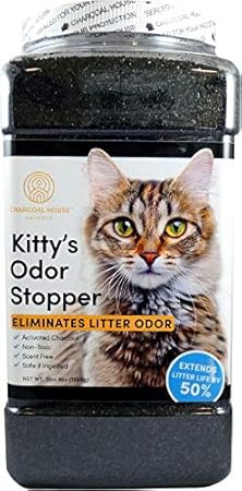 adding activated carbon to cat litter