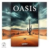Modissa - Spider
