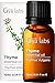 Produktbild Gya Labs Ätherisches Thymianöl für Haare für Haare - 100% Reines Natürliches Thymianöl für die Haut, Diffusor, Körper & Kerzenherstellung (10 ml)