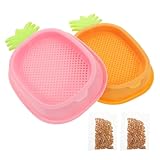 Jardinière pour enfants : conçue pour les enfants, cette jardinière aide à cultiver la patience et la responsabilité pendant qu'ils regardent leur herbe à chat pousser, offrant une activité éducative et amusante, jardinière d'herbe à chat, jouets d'enrichissement pour chat