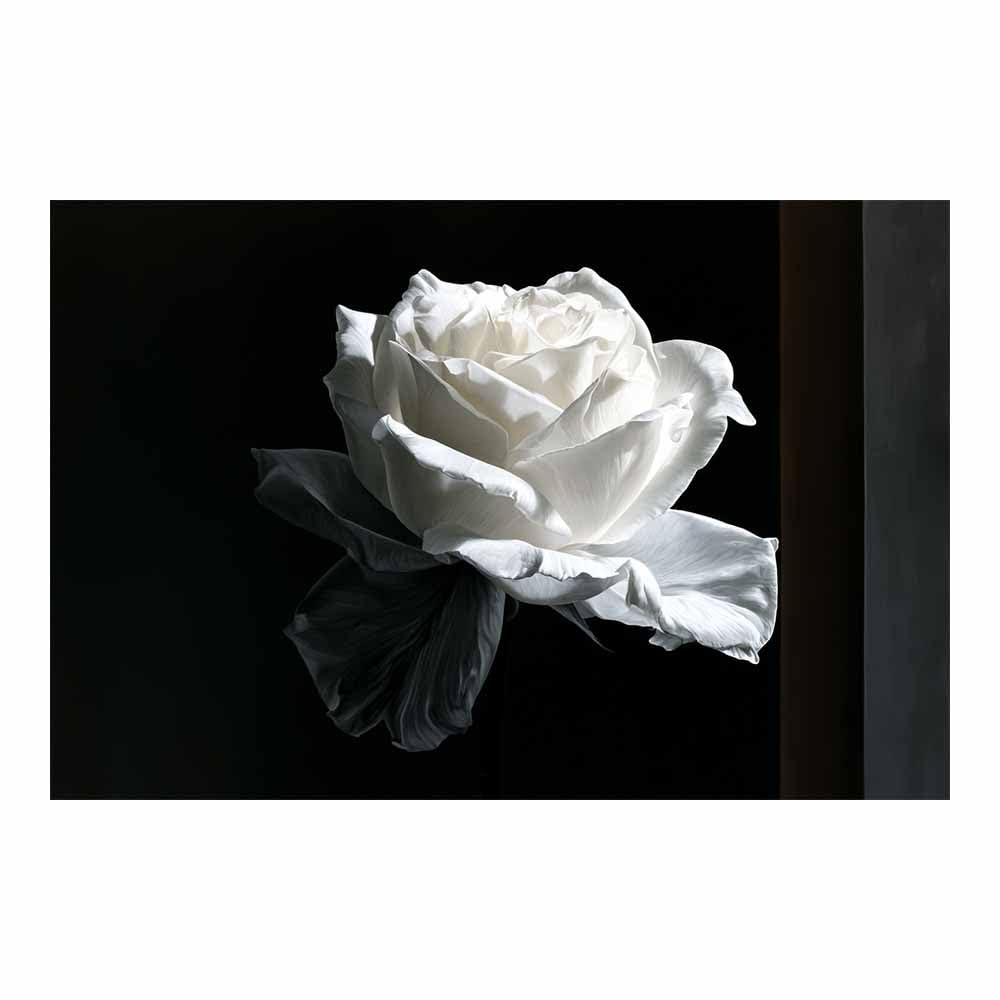 HOQIU Grey Wall Art Darks Tone Whites Ros prints for walls, canvas wall art, for Living Room Bedroom Bathroom Home Office Wall Decoration(Multicolor)-70x100cm Unframed