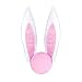 Win&Co Easter Bunny Costume Car Kit Vehicle Decorations Accessory White Pink Ears & Nose