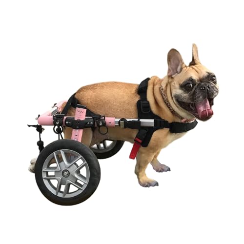 Walkin' Wheels Small Dog Wheelchair, Lightweight Dog Wheelchair for Back Legs, 15-25 lbs, for 12-15 inches Leg Height - Pink