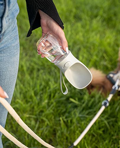 lionto Wasserflasche für Hunde und Katzen, 350ml, Hundetrinkflasche tragbar und auslaufsicher aus lebensmittelechtem ABS-Kunststoff mit Verriegelung, spülmaschinenfest, perfekt für Unterwegs, grau