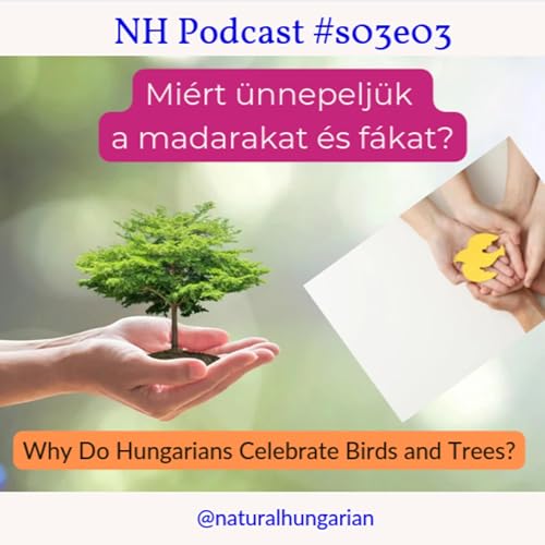 s03e03 - (B1-B2) 🌿 Mi&eacute;rt &uuml;nnepelj&uuml;k a madarakat &eacute;s a f&aacute;kat?_Why do Hungarians celebrate birds and trees?