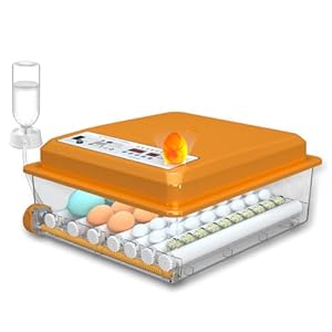 Incubatrice per Uova Automatica, Co...