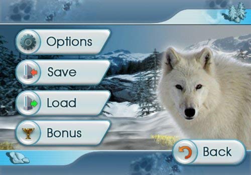 Image of Nancy Drew: The White Wolf of Icicle Creek (Nintendo Wii) (Renewed)