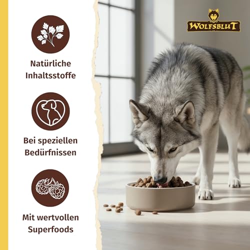 WOLFSBLUT – VetLine Urinary | Diät Trockenfutter für ausgewachsene Hunde zur Unterstützung der Harnwege. Getreidefreies Alleinfutter im Beutel | 2kg Huhn mit Süßkartoffeln