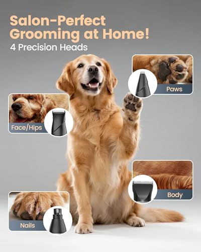 Image of 4 in 1 Dog Clippers for Grooming Thick Hair, 2000mAh Heavy Duty Dog Grooming Kit, 2-Speed Low Noise Dog Paw Trimmer with Nail Grinder for Body, Paws, Nail, Face, Ears, Legs
