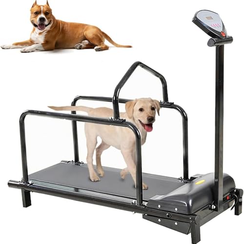 Cinta de correr para mascotas de interior con pantalla LCD para perros