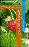‫الوافي في الغذاء الشافي: طعامُك حياتُك ومماتُك، صحتُك وسقمُك، ضروريتُك وضررُك، دواؤك وداؤك، صفاءُ أو تعكّرُ مزاجِك‬ (Arabic Edition)