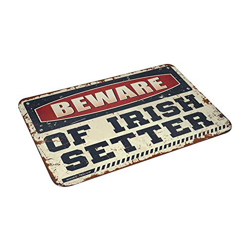 Tapis de classe Irish Setter COTECI pour entrée chaleureuse