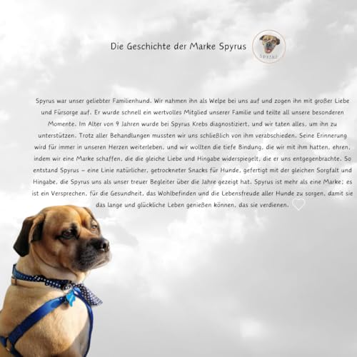 Spyrus Hasenohren ohne Fell Hunde Snack,Kaninchenohren ohne Fell,Naturprodukt für Hunde,Reich an Vitaminen & Mineralien|Snack für zwischendurch(200g)