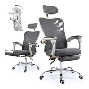 sesto senso Ergonomischer Bürostuhl DH8001-GY Grau