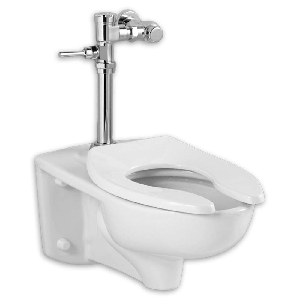Afwall EverClean 1.28 GPF Elongated Man Flush Valve 1 Piece Toilet