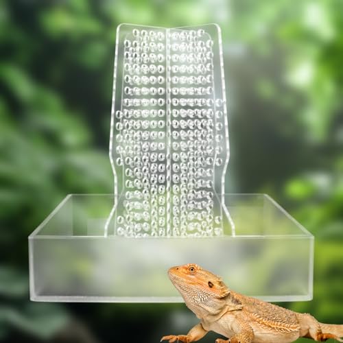 Chameleon Feeder, Transparent Acrylic Bearded Dragon Feeding Bowl, Reptile Terrarium & Aquarium Accessories, Climbable Bug Food Bowl for Lizard Frog Gecko