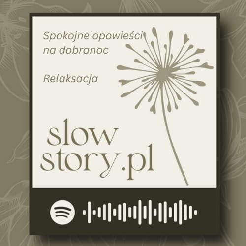 『slowstory.pl』のカバーアート
