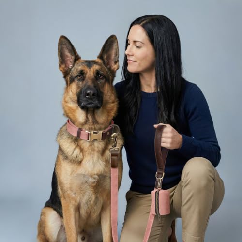Image of Didog PU Leather Dog Collar for Large Dogs, Soft Nylon Lining, Pink XL