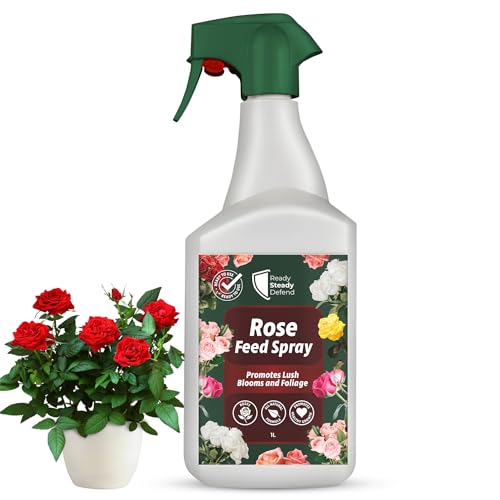 Seaweed Rose Feed Spray 1L | Organic Liquid Fertiliser for Roses | Natural Seaweed Extract Plant Food | Promotes Healthy Blooms & Foliage | Ideal Rose Plant Feed for Indoor, Patio & Garden Roses