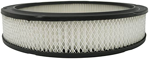 ACDelco GM Original Equipment A329C Air Filter