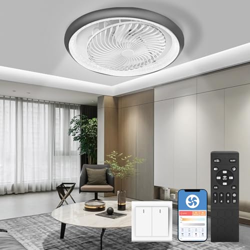 JSZJSZ Ceiling Fan with Lighting LED Light, 19"" Invisible Fan Ceiling Light, 360° Rotatable, Dimmable 48 W with Remote Control Fan Lamp, Ceiling Lamp for Living Room Dining Room Bedroom (Grey), Gray