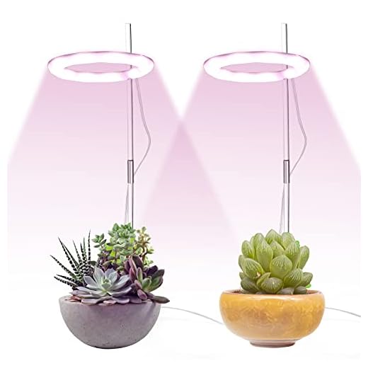 Växtlampor för inomhusväxter, USB-drivet fullt spektrum LED-ringhuvuden växande lampa, justerbar höjd skrivbordslampa för växthus hydroponik suckulent blomma (vit, tvåhandad)