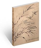 Little Dreams Come True 1424309816 Book Cover