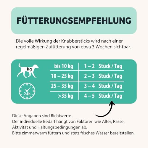 BugBell 60g Knabbersticks DentalShine - Soft Hundeleckerli mit sehr wenig Fett - Mundgeruch & Zahnstein mit Pfefferminze - Vegane Dental Sticks Hund mit Kartoffel, Chlorella & Salbei