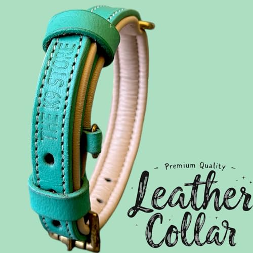 Image of High Graded Premium Leather Dog Collar- Dog Collar for Large Dogs, Dog Collar for Med, Dog Collar Belt (Green, Size Neck - Small (11.5-14.5 Inch)