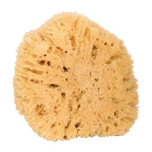 4026 NIY NIYOK Éponge de mer XXL, env. 15 cm