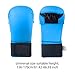 predolo Professional Boxing Gloves, Punching Bag Mitts for Karate and Sparring, Blue M