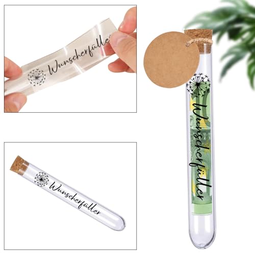 Joycabin 12 Stück Wunscherfüller Geldgeschenk,12 Transparente Reagenzgläser 12 Löwenzahn Transferaufkleber 12 Kraftpapieranhänger,Geldgeschenke für Geburtstag Weihnachten Hochzeit Kommunion (Weiß)